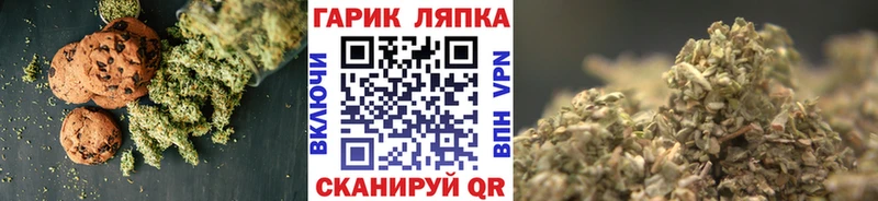 Купить где  Оса  Cannafood конопля 