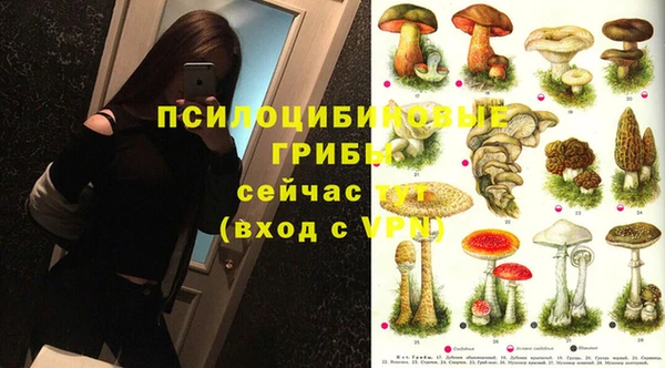хмурый Липки