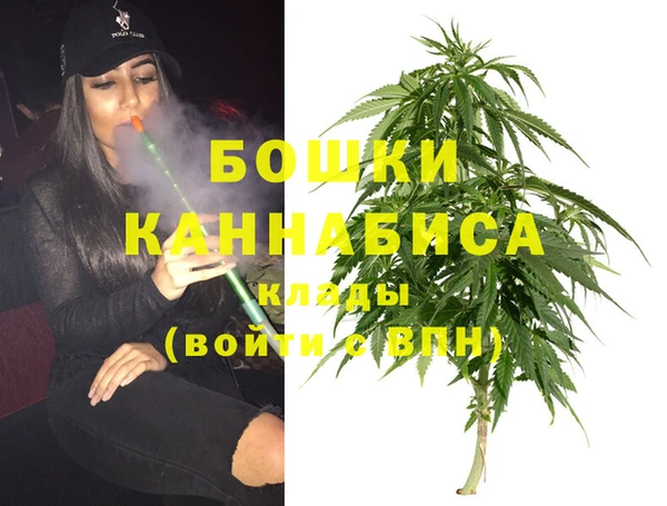 хмурый Липки