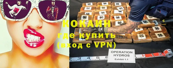 хмурый Липки