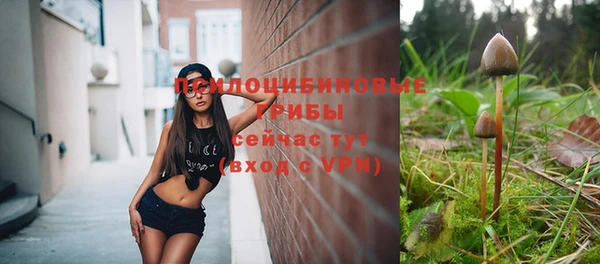 гашик Лихославль
