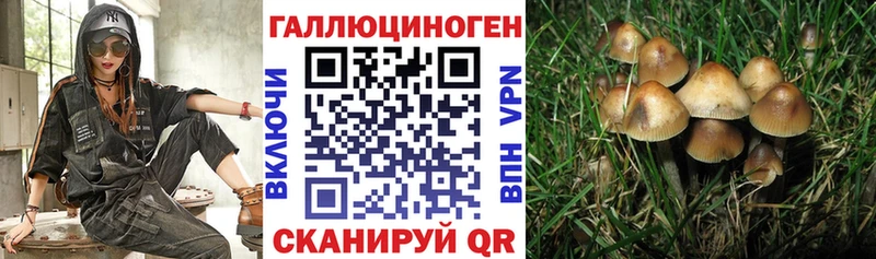 Псилоцибиновые грибы прущие грибы  Купить закладки  Оса 